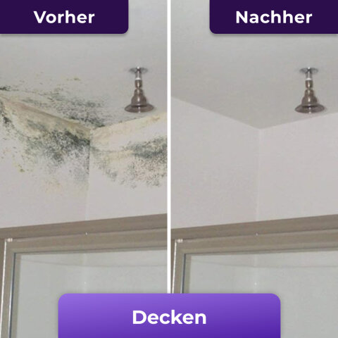 Avant et après NuroClean sur un plafond